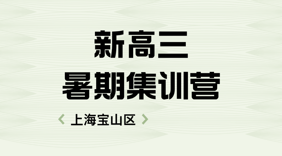 2025年上海金山区新高三暑假补习班哪家机构好？一对一个性化辅导/精准化提分