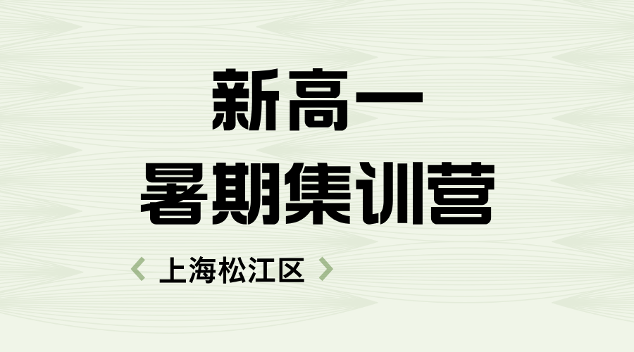 2025年上海松江区初升高新高一暑假班哪家辅导机构好？一对一个性化辅导/精准提分
