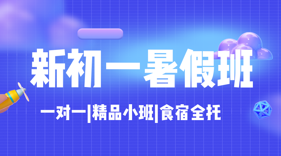 2025合肥瑶海区小升初/六升七/新初一暑假预科课程 三里街/包公园/东五里井/大东门/明光路附近有什么推荐的辅导机构吗
