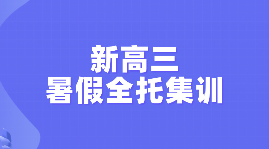 2025年上海嘉定区九年级暑期培训班，一对一哪家辅导机构好？