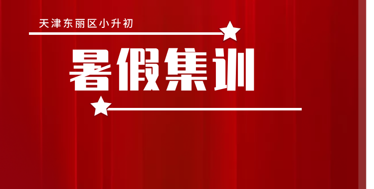 天津东丽区中学增加 教育资源再升级 锐思教育暑假班助力学子领航未来