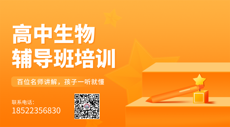 培训活动宣传简约风横板海报__2025-05-27+15_10_11.png