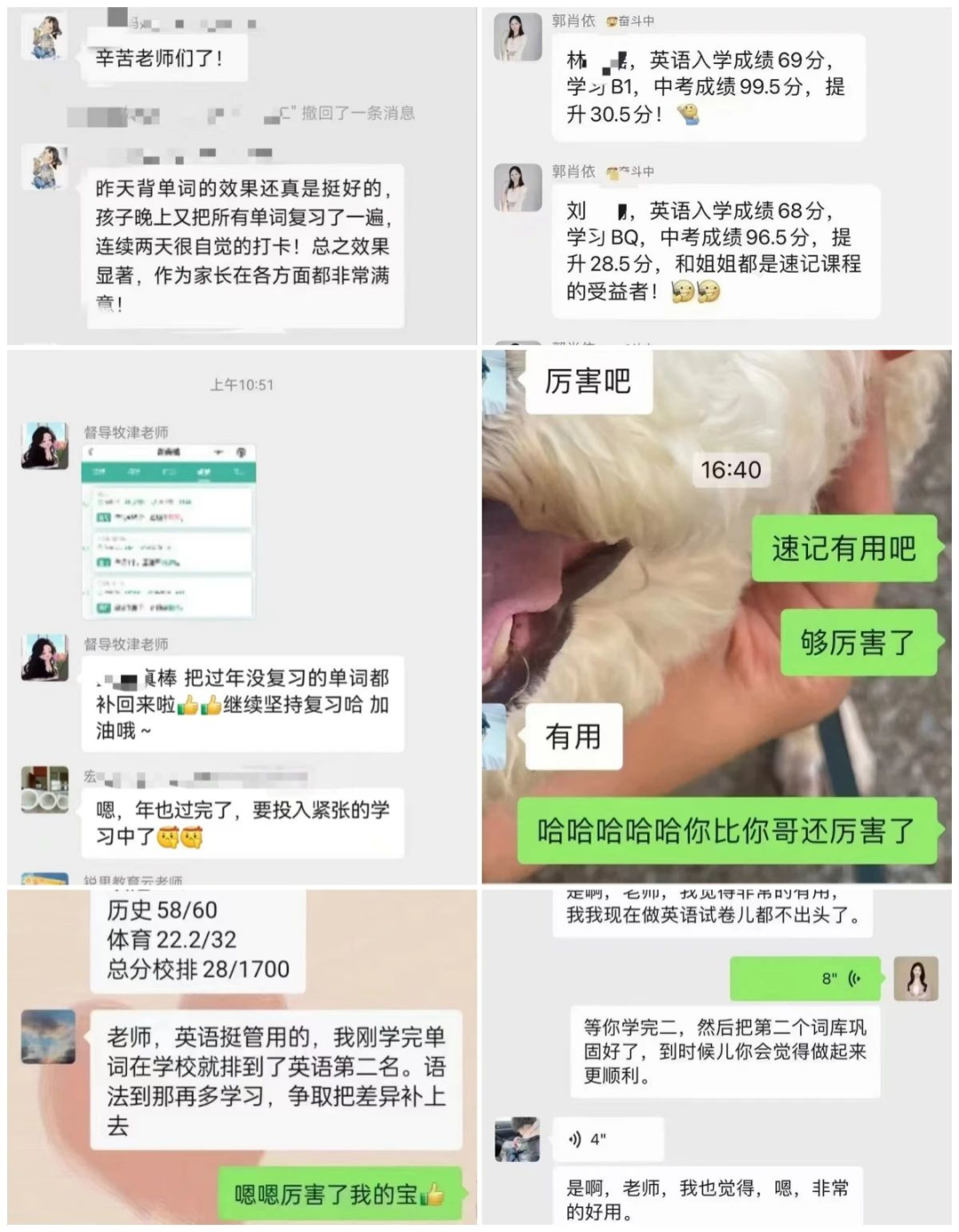 一周内考纲词库一网打尽！北京海淀区有哪些优质智能AI单词速记培训课程？针对小学三年级到高三，收费标准是什么？(图7)