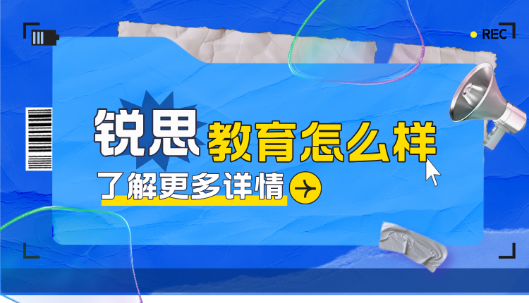 锐思教育培训机构怎么样?个性化辅导的优质之选!