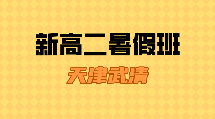 2025年天津武清新高二暑假班，锐思教育一对一小班课招生中