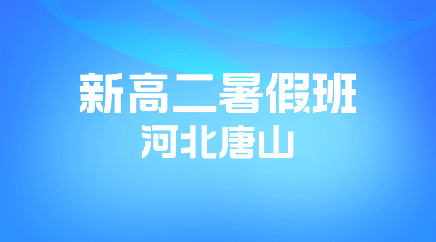 河北2025年唐山新高二暑假班正在招生中，锐思教育一对一小班课可选