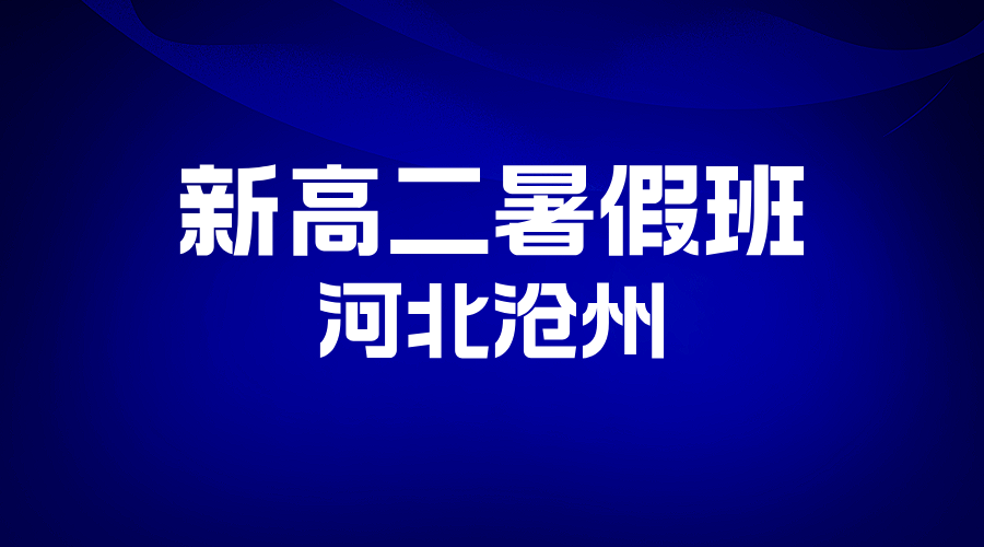 2025年河北沧州新高二暑假班开始招生，锐思教育名师授课系统梳理