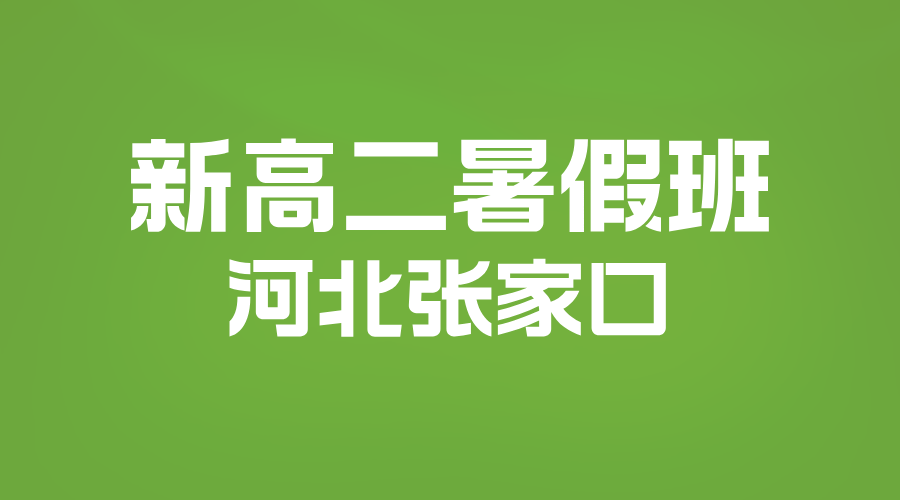 2025年河北张家口新高二暑假学科辅导集训营，锐思教育一对一小班课