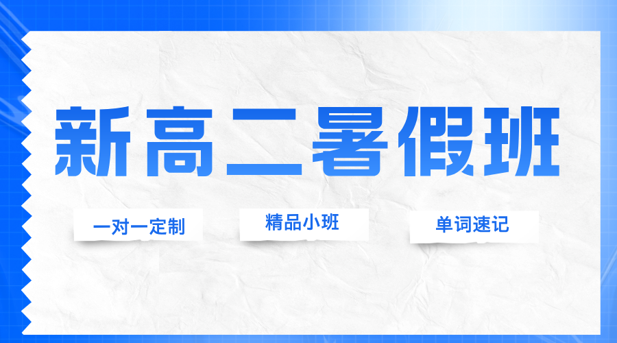 2025年上海奉贤新高二暑假班全天辅导 一对一/小班课