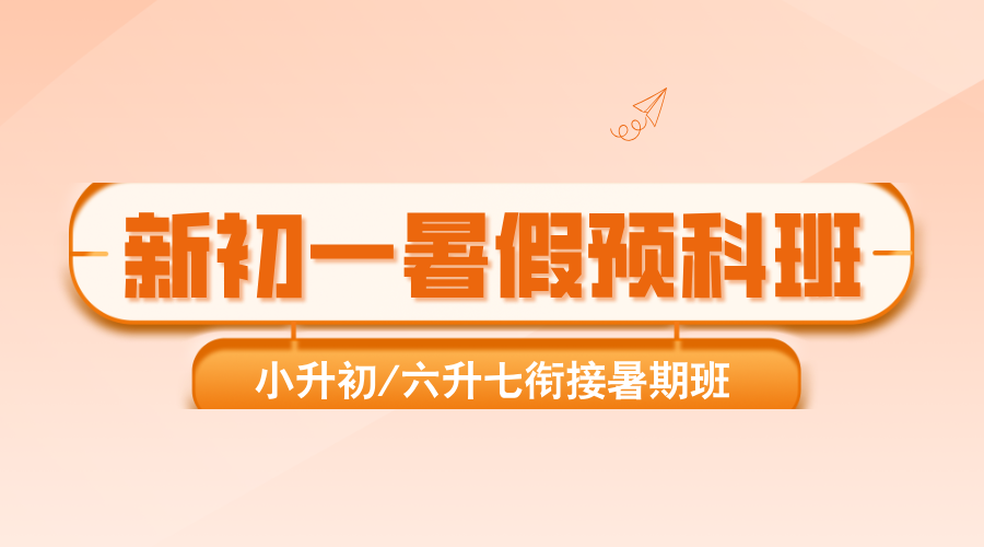 2025年合肥庐阳区小升初新初一暑假辅导 一对一/小班课/单词速记