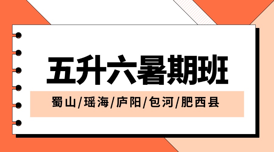 合肥锐思教育：五升六一对一辅导，六年级补习机构推荐