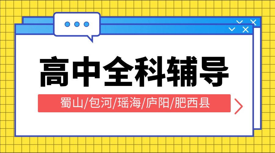 合肥锐思教育高中一对一辅导 小班课补课机构推荐 高效突破