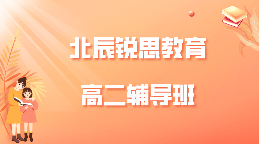 天津北辰锐思教育高二辅导班有哪些，2025北辰高二辅导机构排名