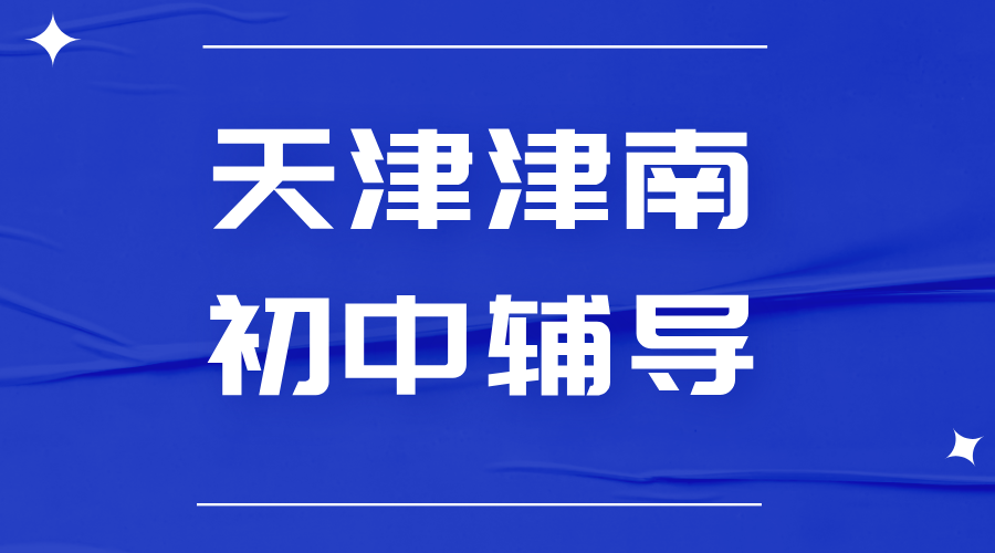 天津锐思教育津南校区：初中生辅导，初一初二初三补习补课，全科都有！