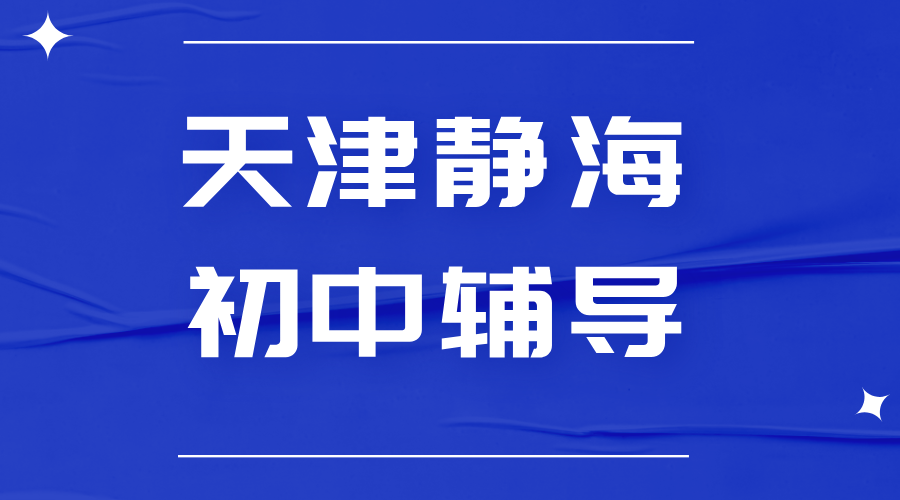 天津锐思教育静海校区初中辅导一对一：专业师资科学提分，初一初二初三补习补课