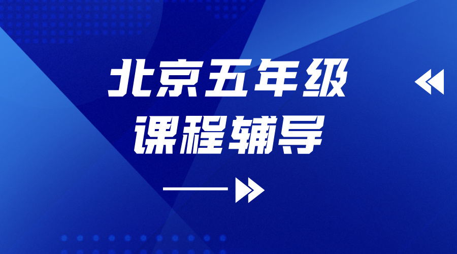 2025 北京海淀区五年级补习推荐：锐思数学英语 + 语文辅导，衔接小升初更轻松！