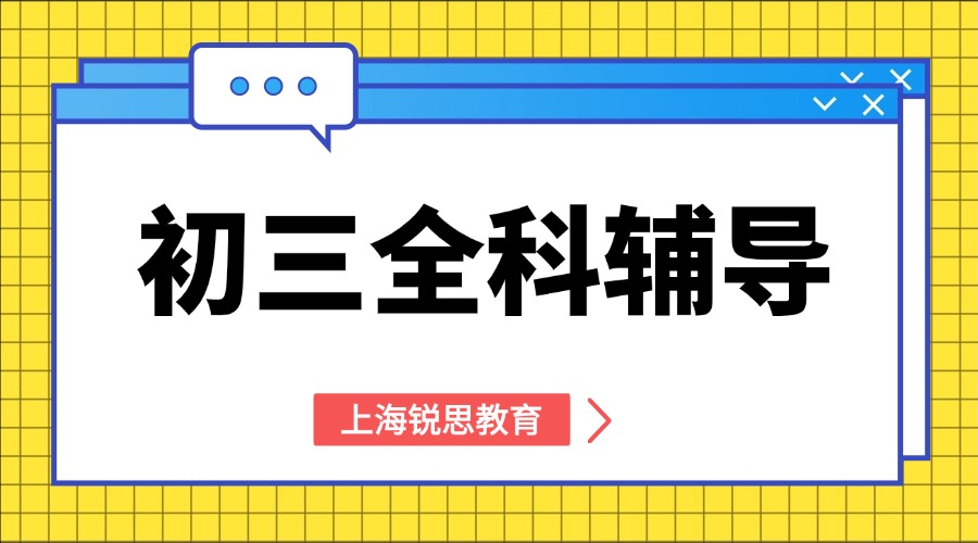 2025年上海杨浦区初三九年级课后辅导/周末辅导,定向拔高,系统梳理,推荐锐思教育