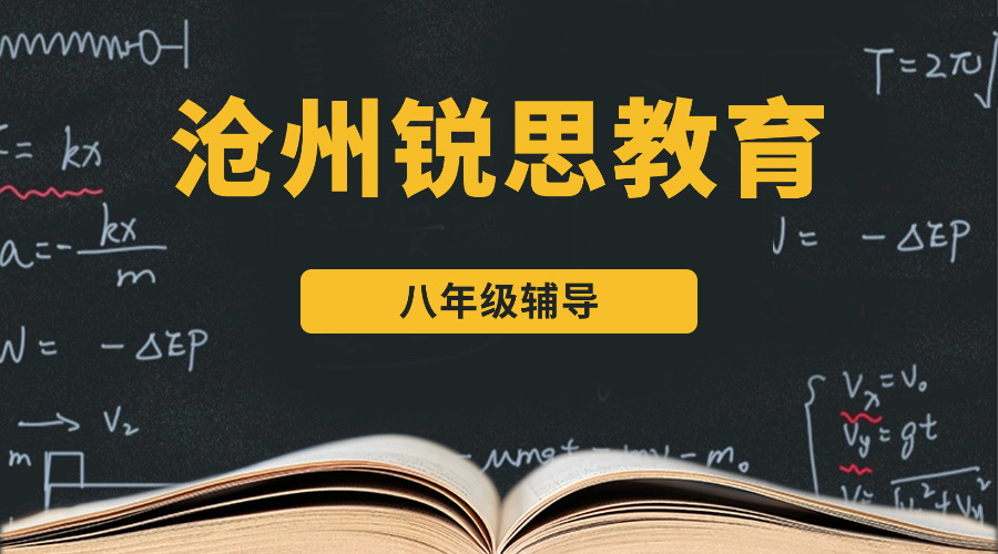 沧州锐思教育初二补习班有哪些课程，2026沧州八年级辅导机构排名
