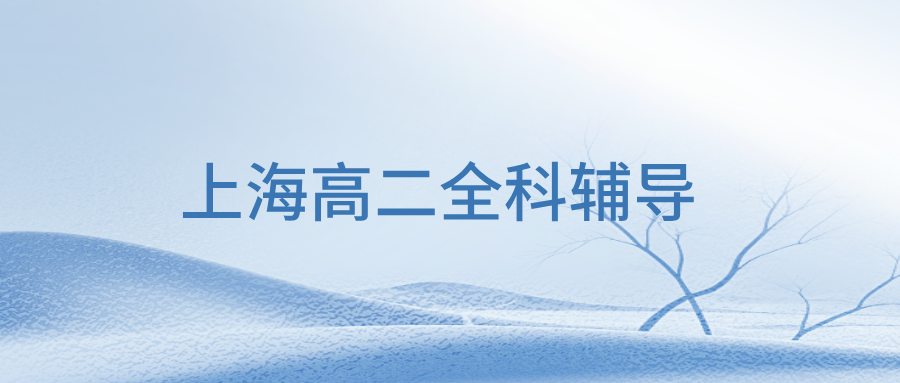 25年上海长宁区高二课后辅导/数学/物理学科辅导哪家辅导机构效果好？