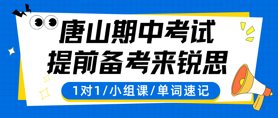 2026唐山市九年级期中考试辅导哪家好，锐思教育一对一/小班课/助力学生备战期中