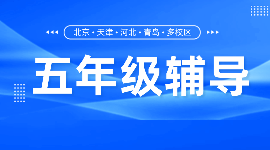 北京海淀五年级一对一辅导：锐思教育，开启学霸成长新引擎！