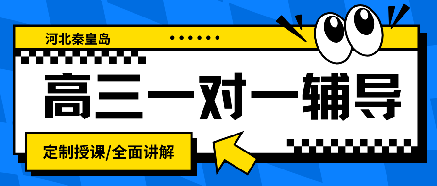秦皇岛高三一对一辅导，2026年秦皇岛高三一对一辅导哪家好