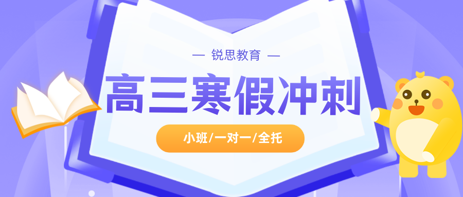 2026年上海金山区高三寒假辅导,高三语文/数学/英语/物理/化学/生物...推荐锐思教育