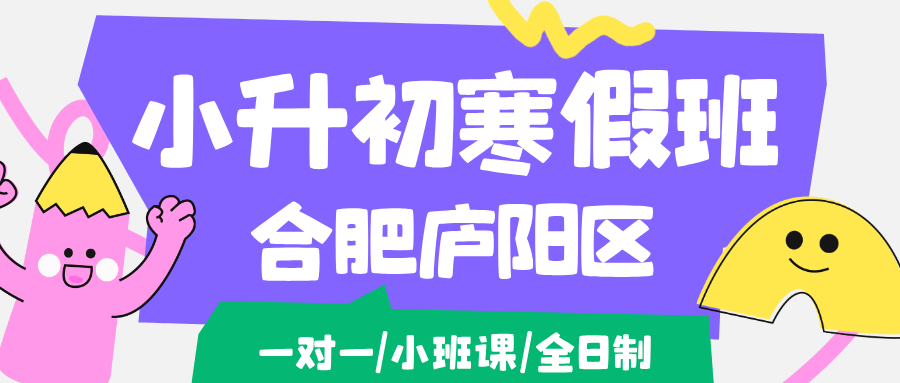 26年合肥庐阳区小升初寒假辅导班_小学寒假补课辅导补习班哪家最好？