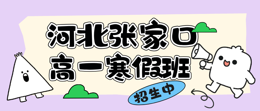 锐思教育张家口2026高一寒假招生 一对一拔高补差 · 小班课系统梳理