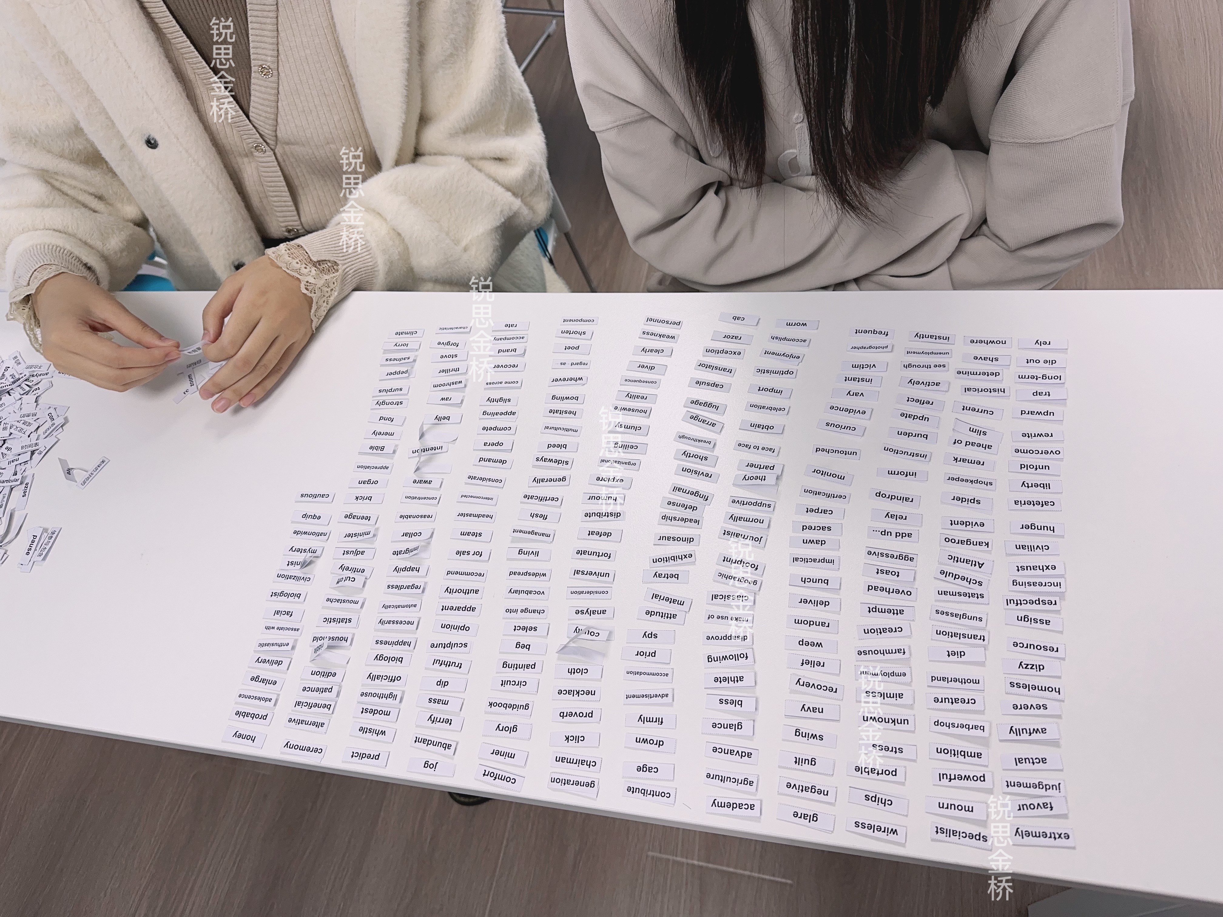 金桥21.jpg 金桥21.jpg