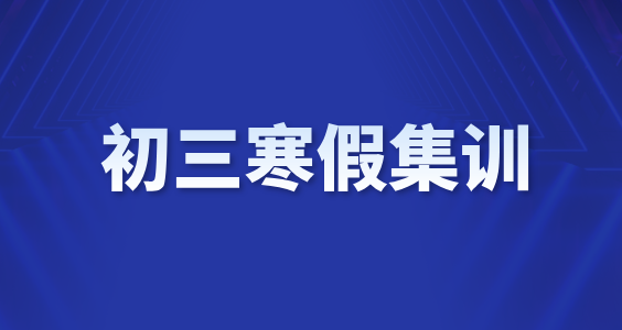 天津滨海初三寒假逆袭指南：锐思教育一对一/班课冲刺集训，助你抢占中考先机！