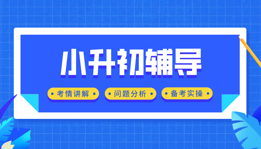 天津小升初辅导：锐思教育名师领航，助力升学无忧