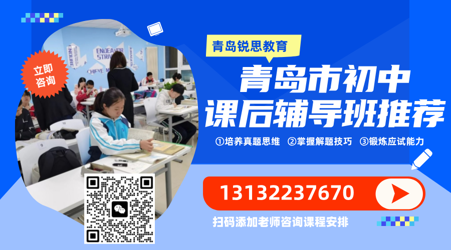 2026青岛市城阳区初中补习班_全科目课程辅导/一对一/小班课推荐锐思教育