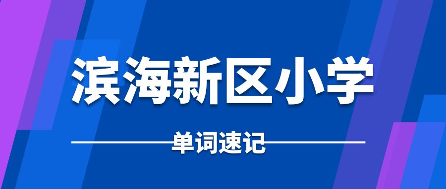 滨海新区小学单词速记课程哪家好,滨海新区小学英语一对一辅导联系方式