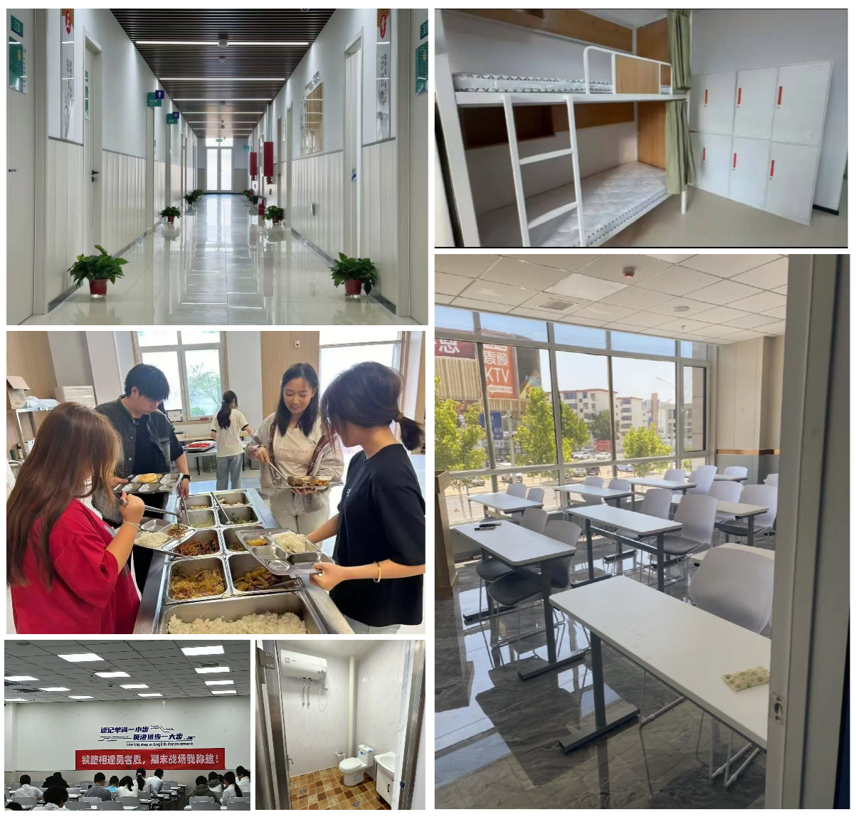 未命名的设计 (2)(1).png