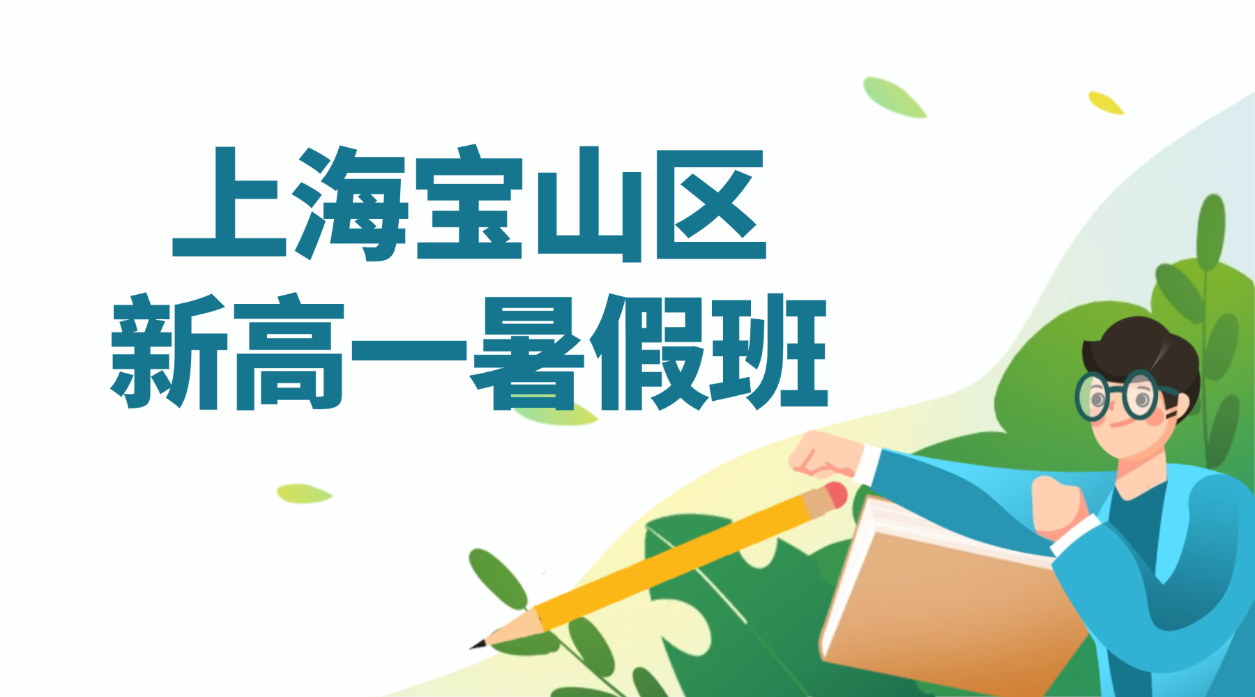 26年上海宝山区高中/新高一数学/英语分班考暑期集训：函数/力学/物质的量精讲+分班考特训，领跑初高衔接