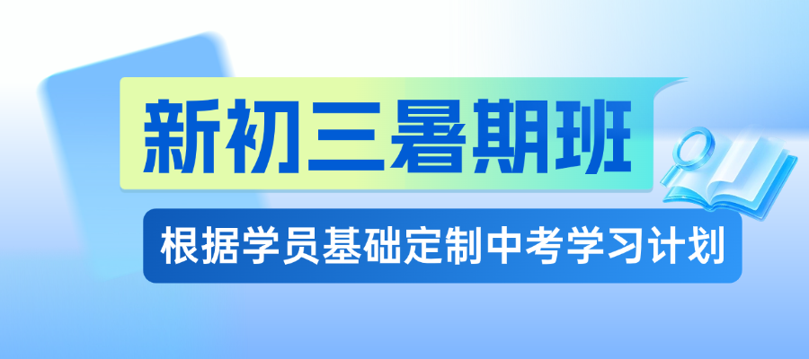 2026南京鼓楼龙江锐思滨江校区 树人中学旁新初三暑期集训班