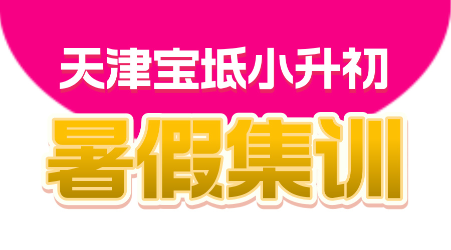 天津宝坻新初一暑假预科班 锐思教育小升初全科辅导一对一小班