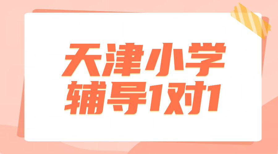 天津市六区小学一对一辅导：三四五六年级语数英精准提分方案