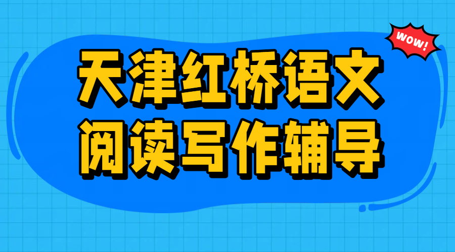 天津红桥初中语文阅读写作辅导老师推荐_红桥区初三语文提分_锐思教育2026