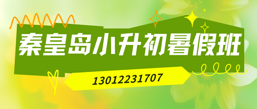 秦皇岛道南/道北/西港花园/东山浴场小升初/新初一/六升七暑假衔接班哪家好？塘沽锐思教育收费标准/地址/联系方式