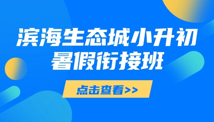 2026滨海生态城小升初暑假衔接哪家好,锐思教育专业辅导最靠谱(图1) 滨海生态城小升初.jpg