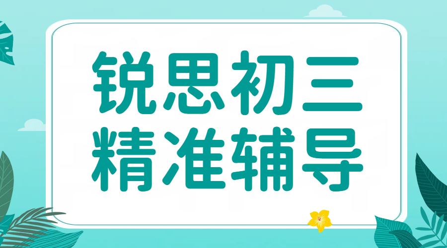天津锐思教育初三辅导/全托培训/全日制可吃住/数学英语语文物理化学历史道法