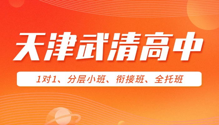 天津武清区杨村一中/万博广场/英华学校/武清八中附近新高一衔接班/一对一/分层小班辅导哪家好？