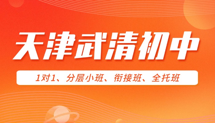 2026年天津武清区初一初二初三/初中暑假班/暑期预科班/语文数学英语物理化学暑假补习/补课一对一/小班课哪家好？