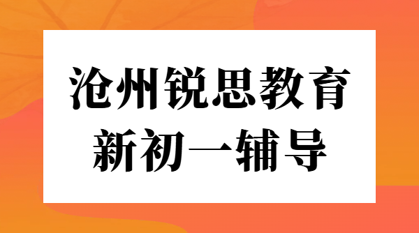 沧州新初一预科衔接辅导暑假班 - 锐思教育一对一小班课全托班，八中/十三中/十四中/十七中附近