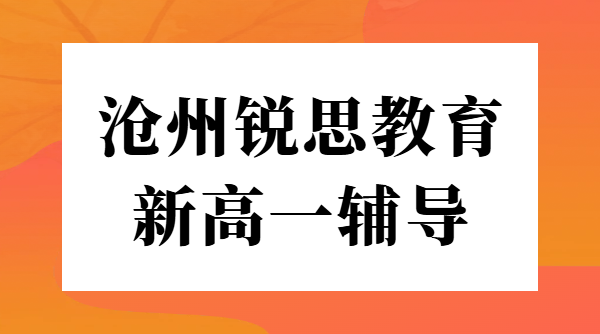沧州新高一预科衔接辅导暑假班 - 锐思教育一对一小班课全托班，八中/十三中/十四中/十七中附近