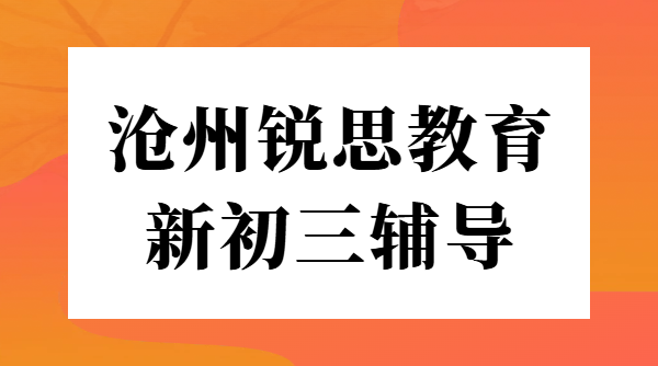 沧州新初三预科衔接辅导暑假班 - 锐思教育一对一小班课全托班，八中/十三中/十四中/十七中附近