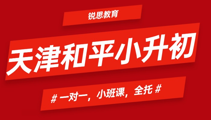 天津和平区小升初暑假衔接班怎么选？锐思教育一对一/6-8人小班，入学测评分层教学，80%八年教龄师资护航
