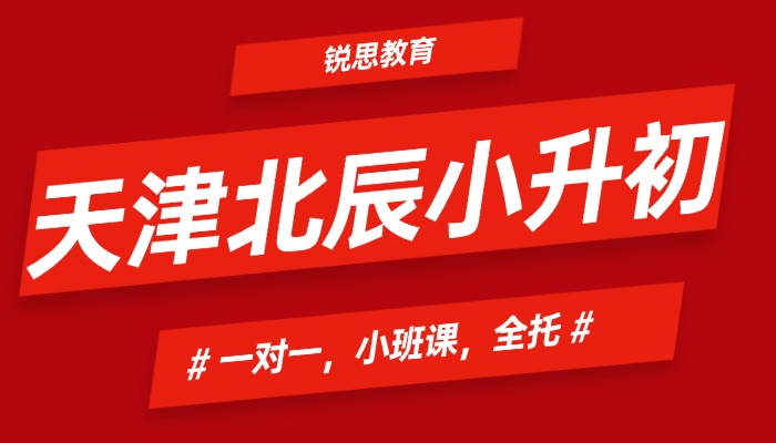 天津北辰区小升初暑假衔接班怎么选？锐思教育一对一/6-8人小班，入学测评分层教学，80%八年教龄师资护航